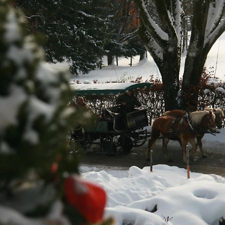 Pension Wolfgangsee Sankt Wolfgang im Salzkammergut Exterior foto